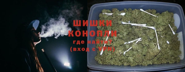 ГАЛЛЮЦИНОГЕННЫЕ ГРИБЫ Баксан