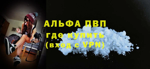 spice Аркадак
