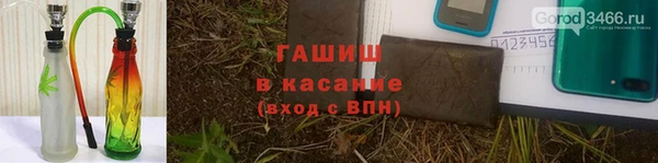 ГАЛЛЮЦИНОГЕННЫЕ ГРИБЫ Баксан