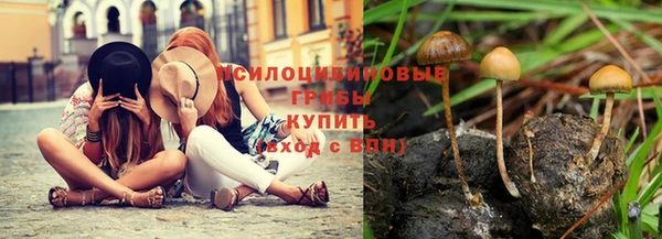 мескалин Балахна