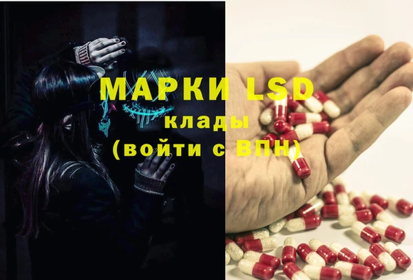 ГАЛЛЮЦИНОГЕННЫЕ ГРИБЫ Баксан