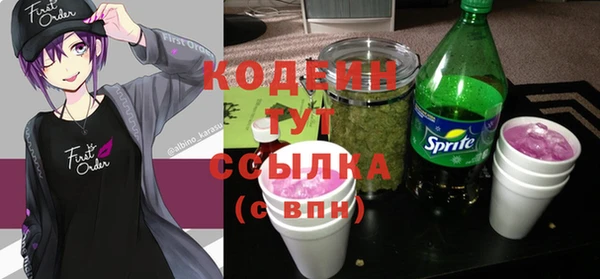 ГАЛЛЮЦИНОГЕННЫЕ ГРИБЫ Баксан