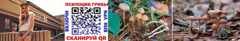 Псилоцибиновые грибы мицелий  Чудово 