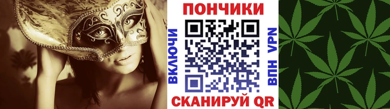 где купить наркоту  Чудово  Марихуана марихуана 